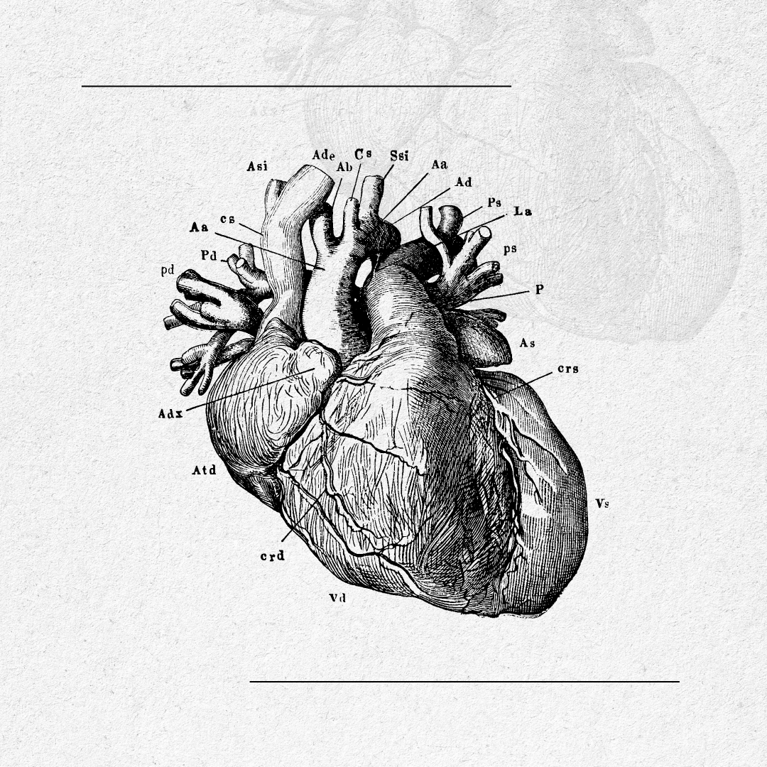 Heart Disease: Symptoms, Causes & Prevention